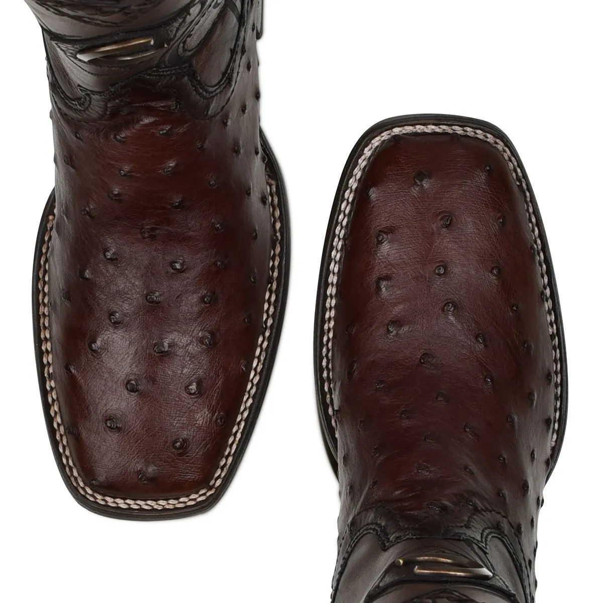 3Z1OA1 - Cuadra chocolate cowboy rodeo ostrich leather boots for men